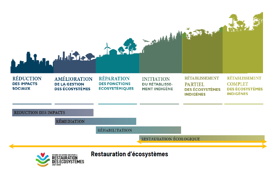 Restauration_ecologique