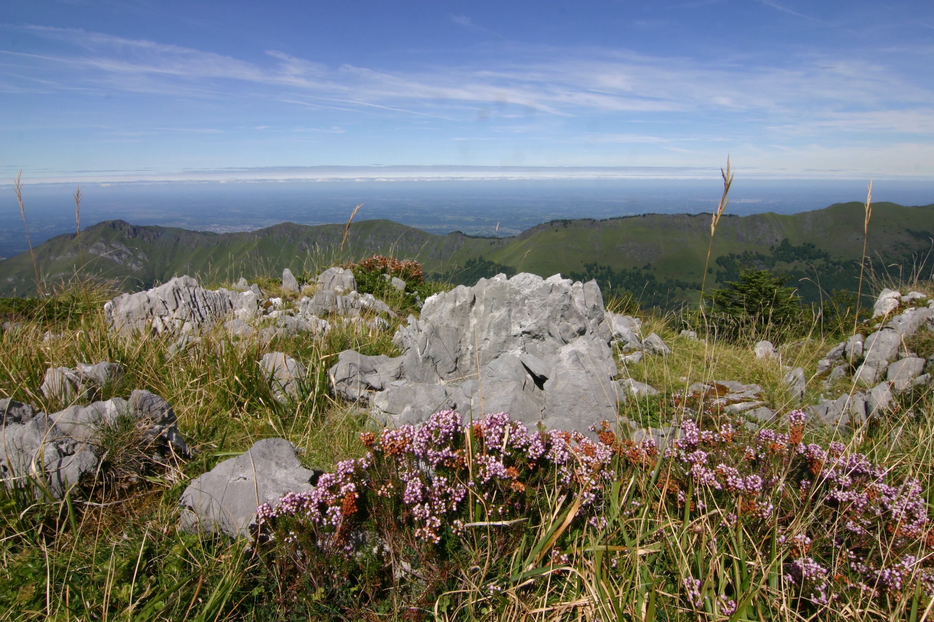 plaine su du Mail d'abérou_Escot_LG