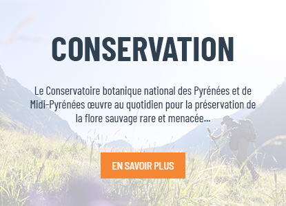bouton_conservation