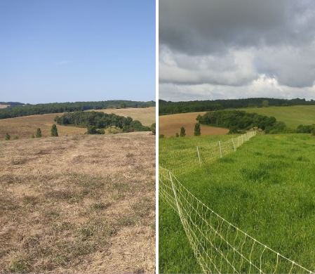 Life-Coteaux-avant-apres